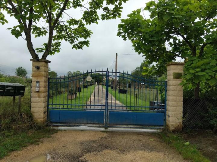 Septfonds Belle Maison Du Quercy מראה חיצוני תמונה